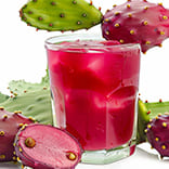 VitaliSlim_Prickly_Pear_Extract